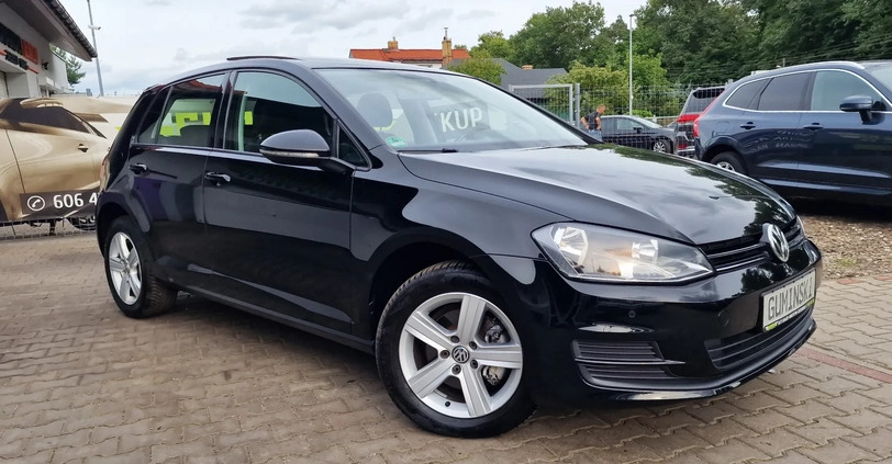 Volkswagen Golf cena 39800 przebieg: 135000, rok produkcji 2013 z Suchań małe 667